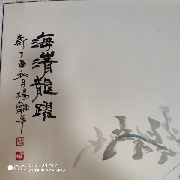 古玩字畫中美協(xié)會員楊和平老師《海清龍躍》卷軸拍賣，當前價格799元