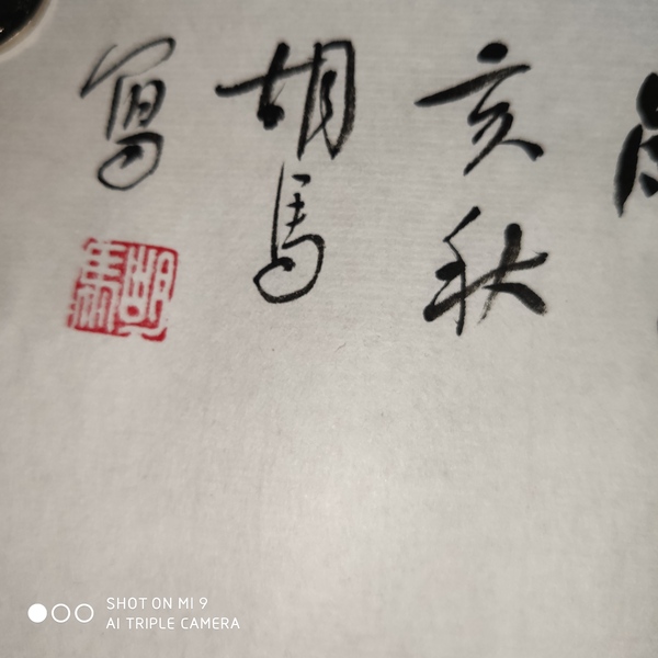 古玩字畫(huà)楊忠秀  胡馬老師 繁中能薄艷中間 軟片拍賣(mài)，當(dāng)前價(jià)格399元