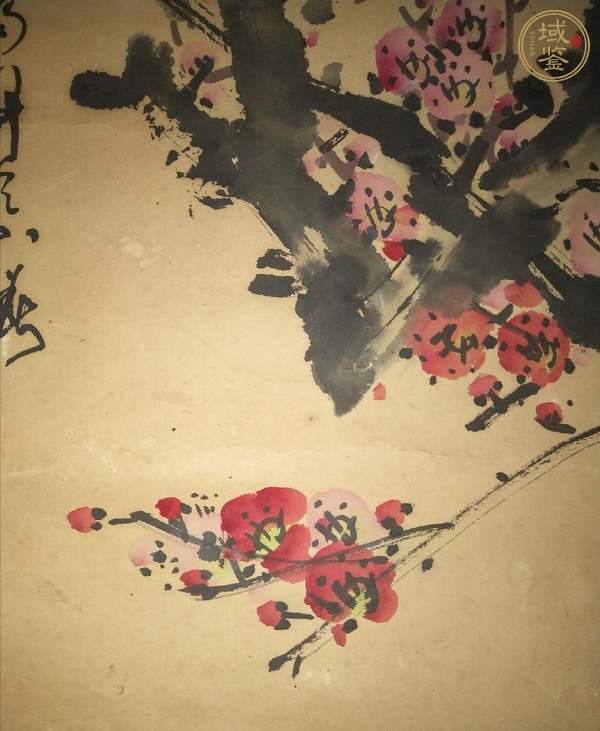 古玩字畫章青梅花真品鑒賞圖