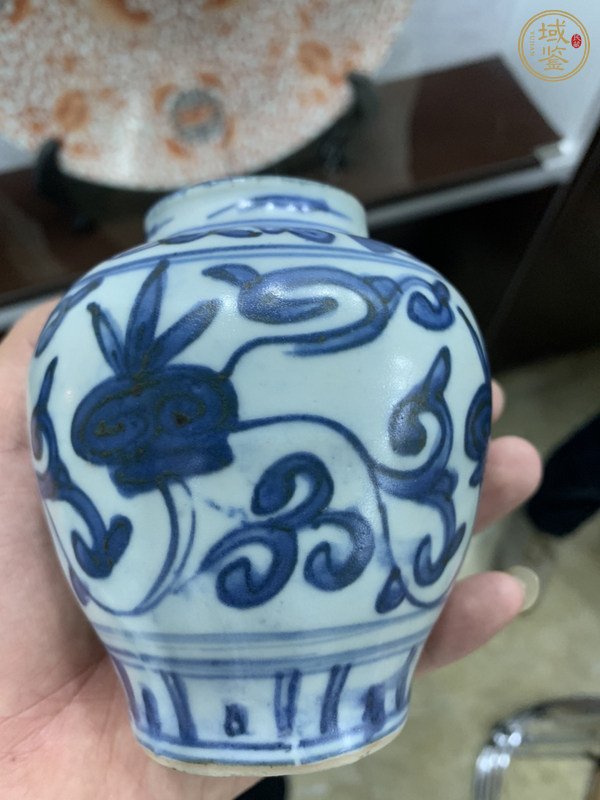 古玩陶瓷嘉靖青花纏枝靈芝紋寶珠鈕蓋罐真品鑒賞圖