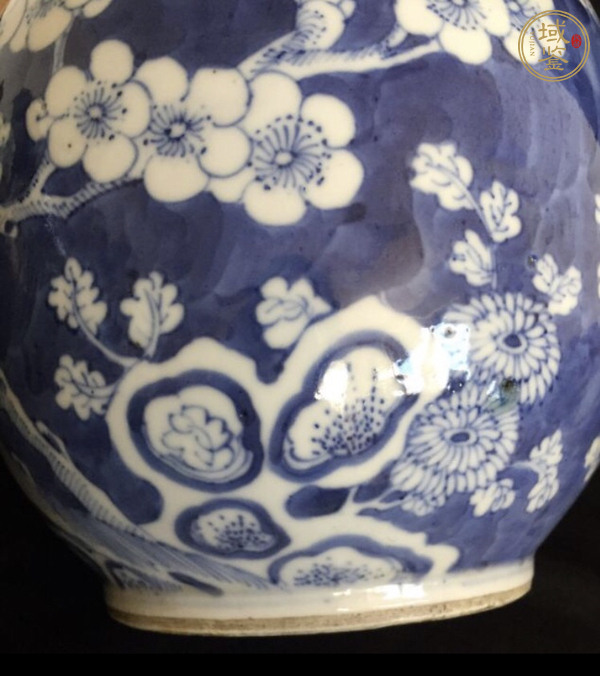 古玩陶瓷青花冰梅瓶真品鑒賞圖