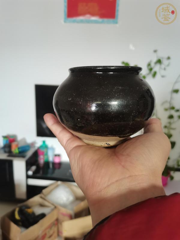 古玩陶瓷磁州窯系黑釉茶入真品鑒賞圖