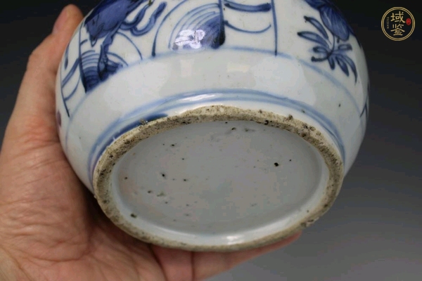 古玩陶瓷青花海馬紋軍持真品鑒賞圖