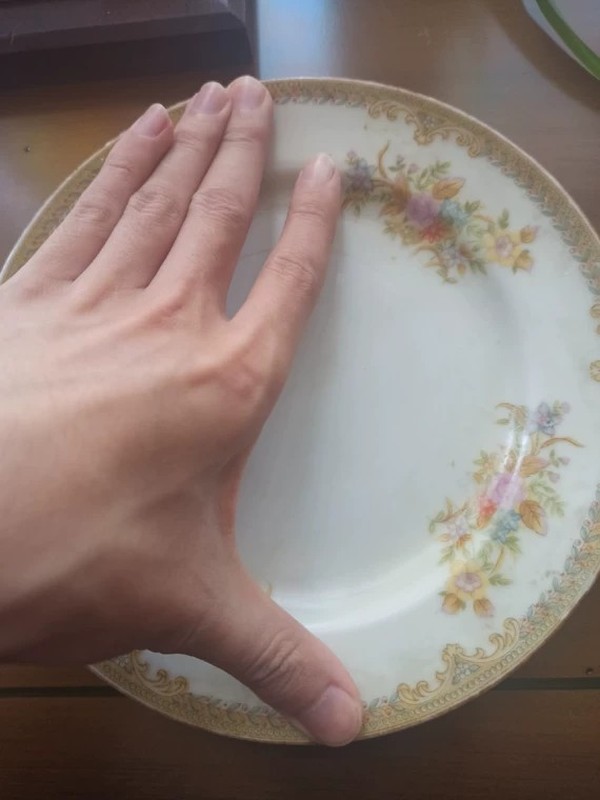 古玩陶瓷滿洲國(guó),高檔描金,花卉盤拍賣,當(dāng)前價(jià)格666元