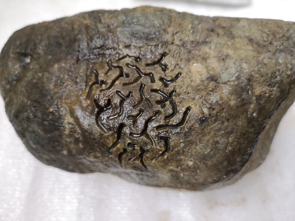 古玩玉器翡翠原石拍賣,當前價格850元