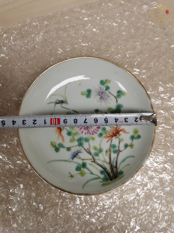 古玩陶瓷粉彩蟲草紋盤真品鑒賞圖