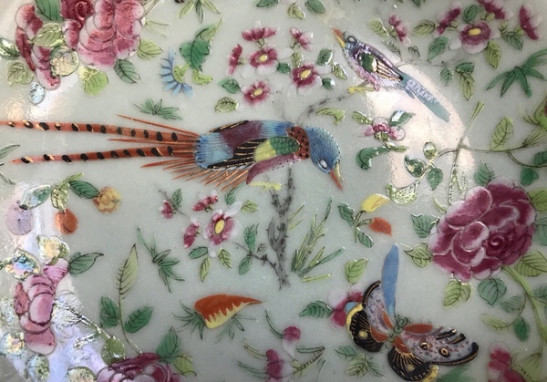 古玩陶瓷清中期豆青釉花鳥蝶紋盤拍賣,當前價格1500元