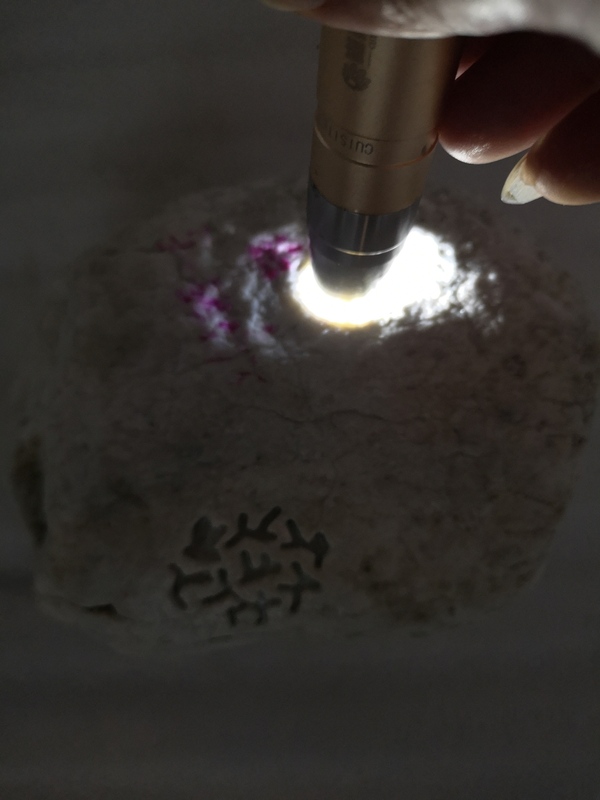 古玩玉器翡翠原石拍賣,當前價格850元