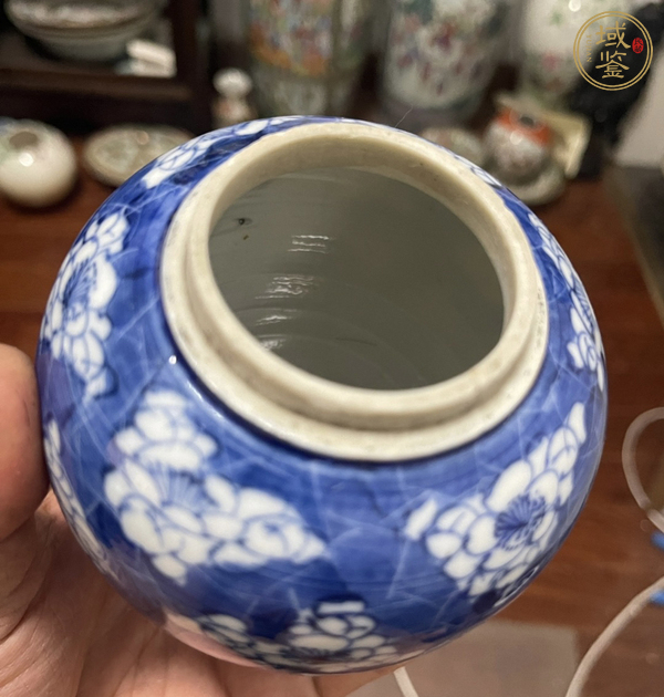 古玩陶瓷青花冰梅罐真品鑒賞圖