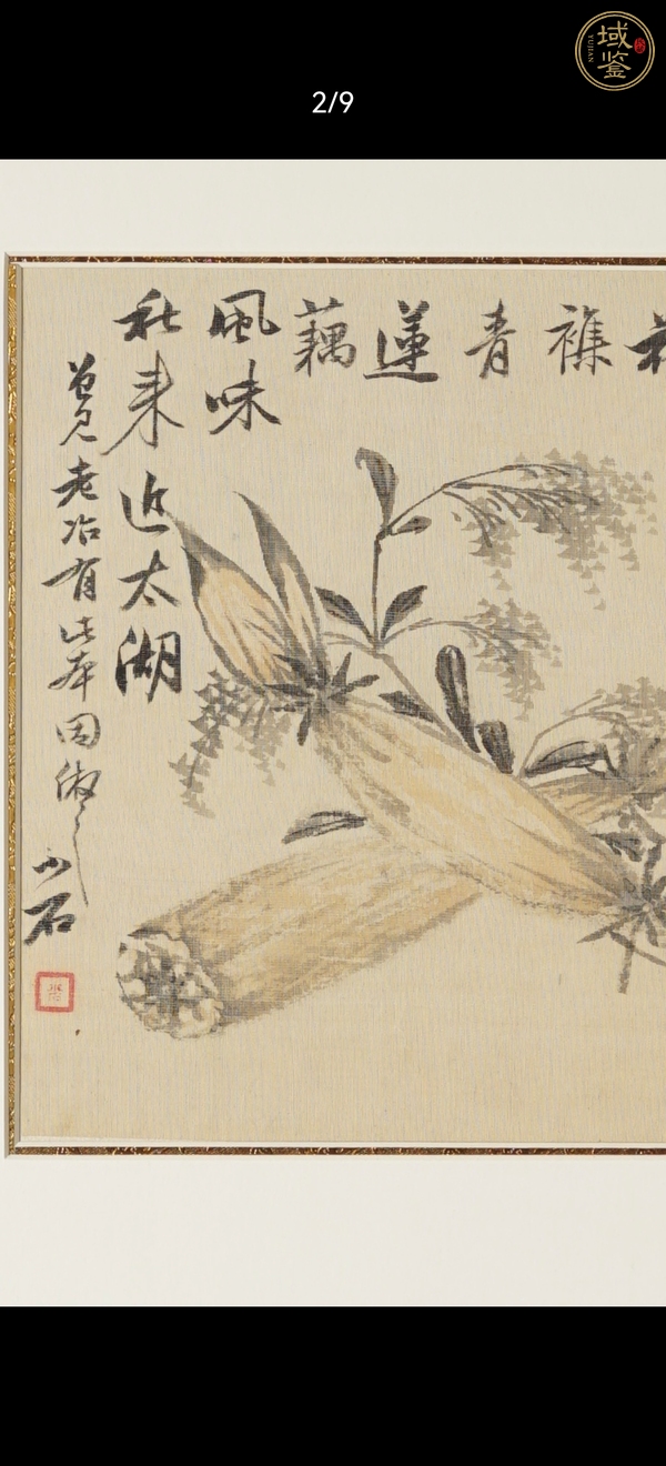 古玩字畫(huà)小石 花卉圖真品鑒賞圖