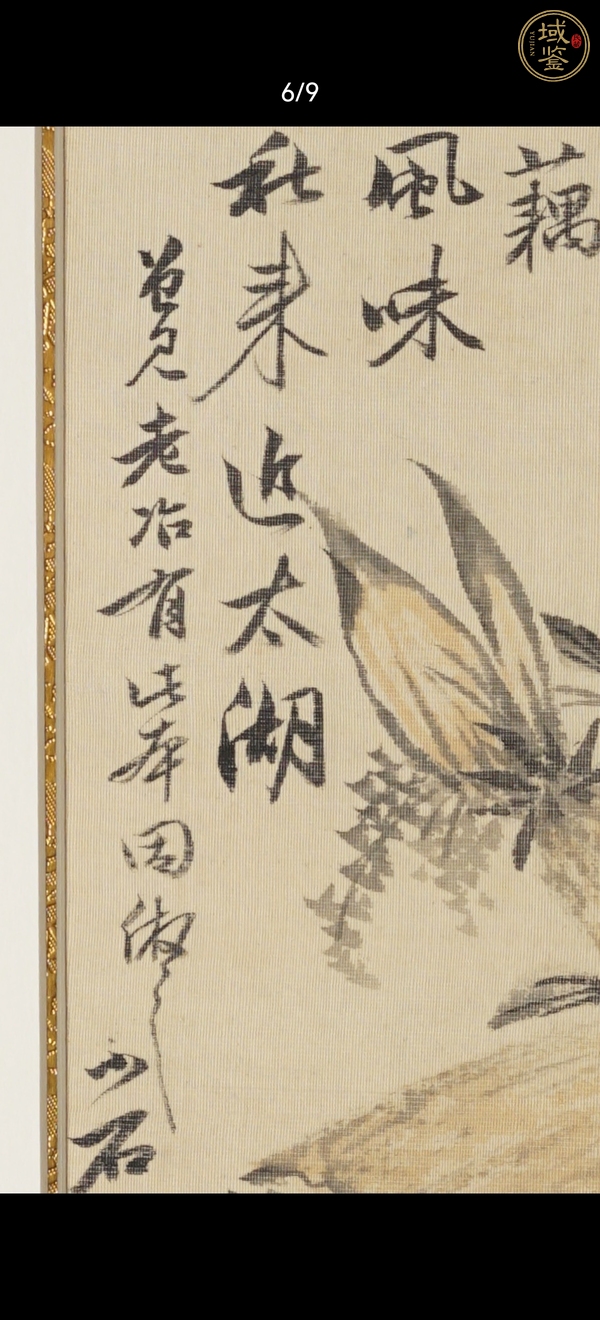 古玩字畫(huà)小石 花卉圖真品鑒賞圖