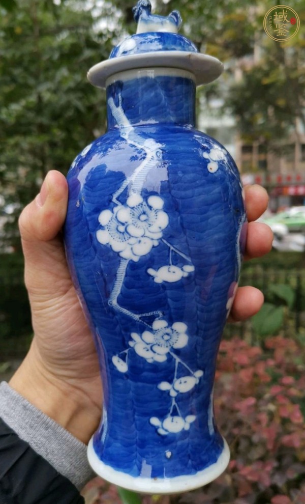 古玩陶瓷康熙年制款青花留白梅紋雞腿蓋瓶真品鑒賞圖