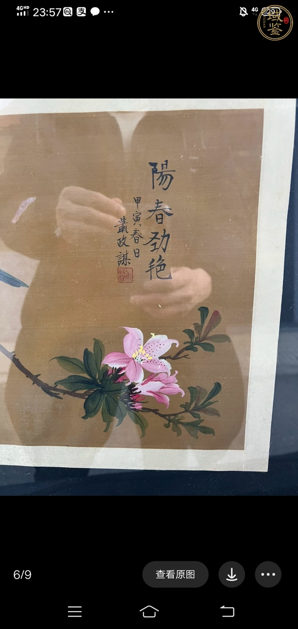 古玩字畫陽春勁艷（花鳥）真品鑒賞圖