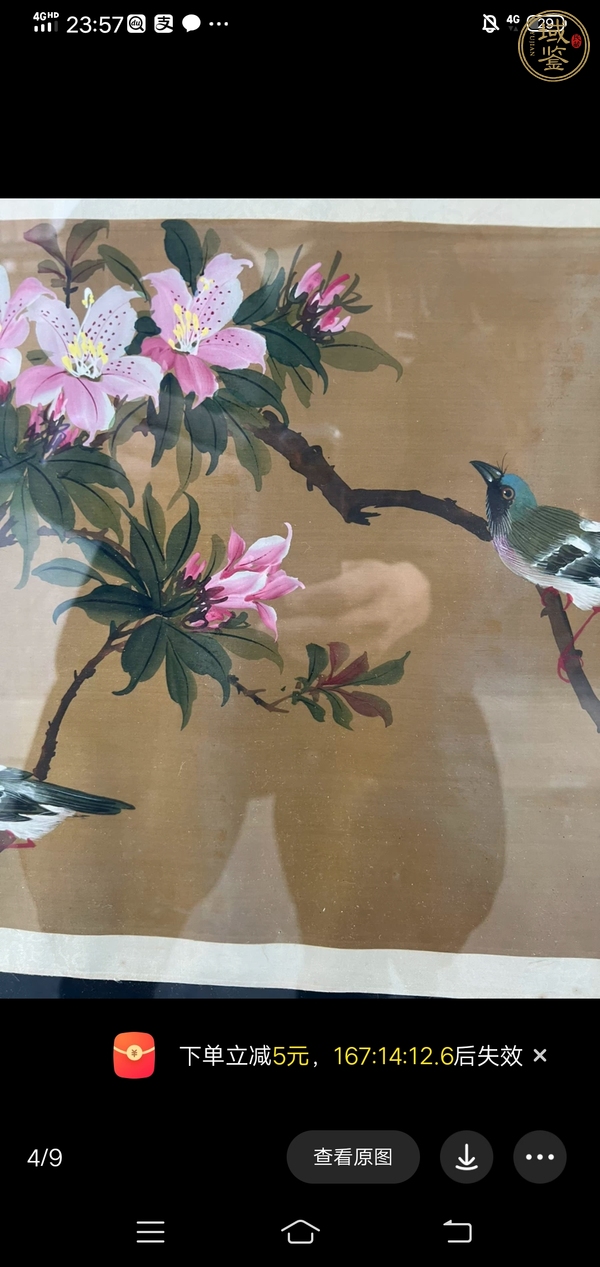 古玩字畫陽春勁艷（花鳥）真品鑒賞圖