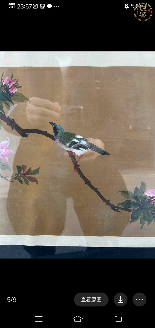 古玩字畫陽春勁艷（花鳥）真品鑒賞圖