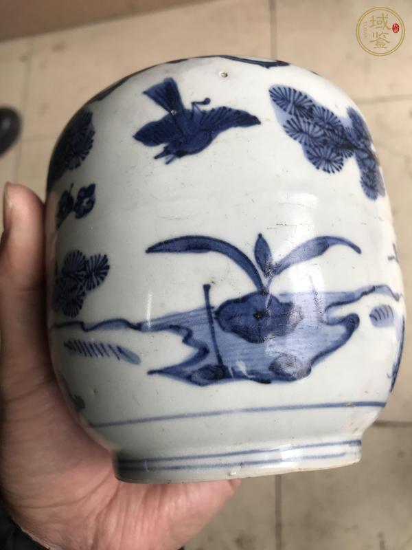 古玩陶瓷青花水景松梅紋罐真品鑒賞圖