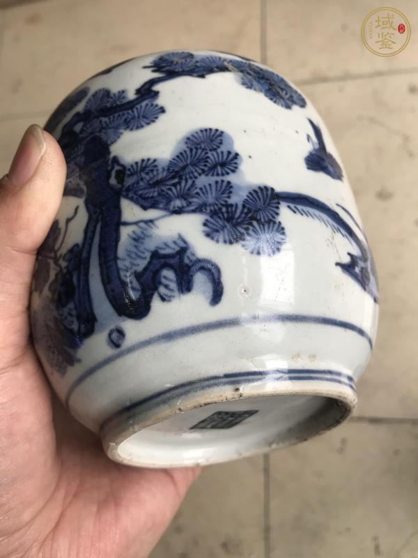 古玩陶瓷青花水景松梅紋罐真品鑒賞圖