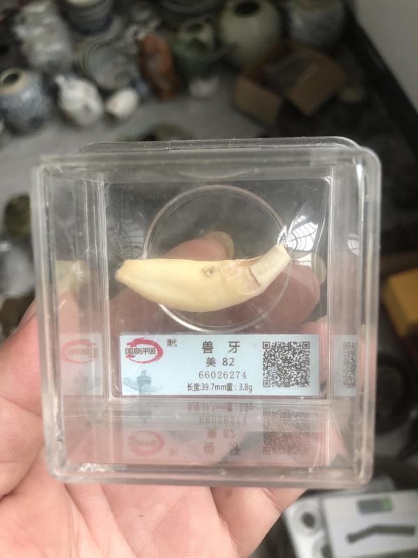 古玩杂项***拍卖，当前价格200元