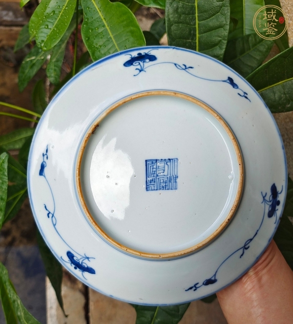 古玩陶瓷青花纏枝花卉紋盤真品鑒賞圖