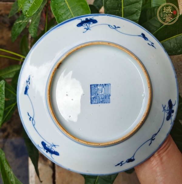 古玩陶瓷青花纏枝花卉紋盤真品鑒賞圖