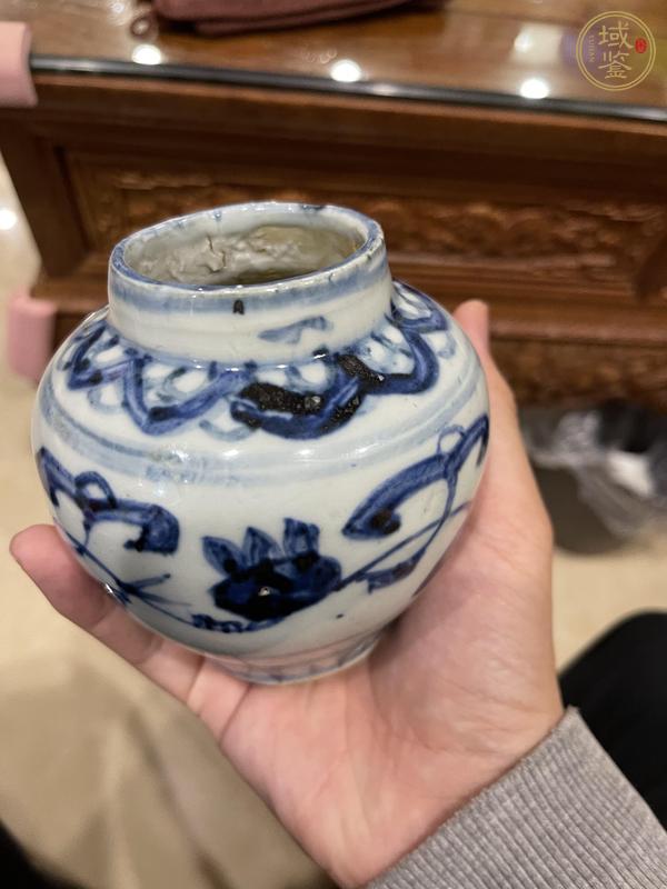 古玩陶瓷青花花卉小罐真品鑒賞圖