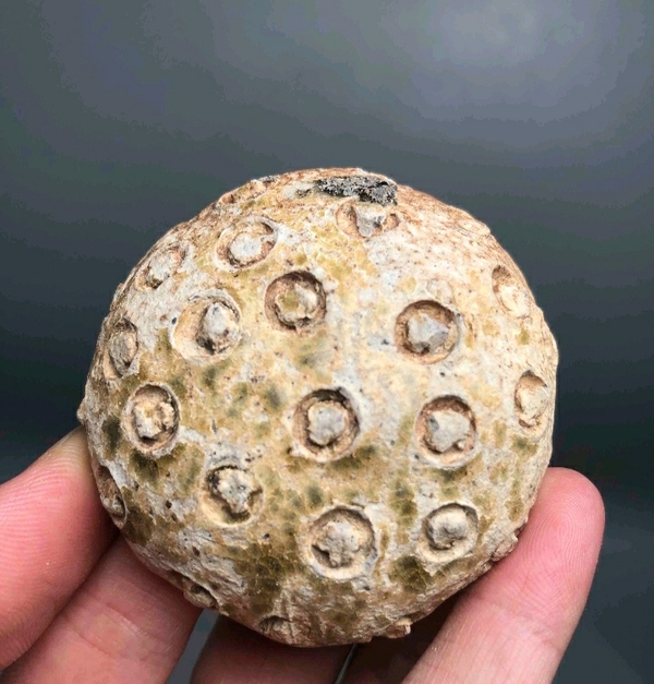古玩陶瓷洪州窯仿生蓮蓬擺件拍賣,當前價格3998元