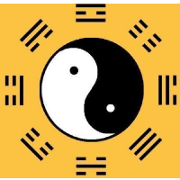 域鑒自在飛花輕似夢的店鋪