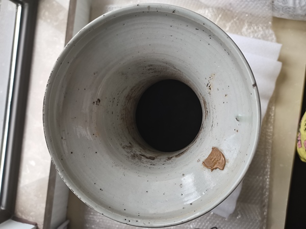 古玩陶瓷晚清花鳥紋青花雙耳盤口瓶拍賣，當前價格3800元