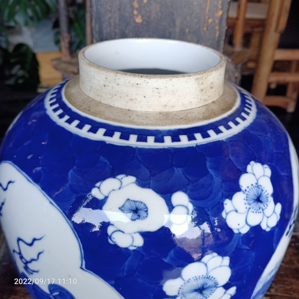 古玩陶瓷晚清青花留白梅紋開(kāi)光瑞獸紋青花罐拍賣(mài),當(dāng)前價(jià)格9999元
