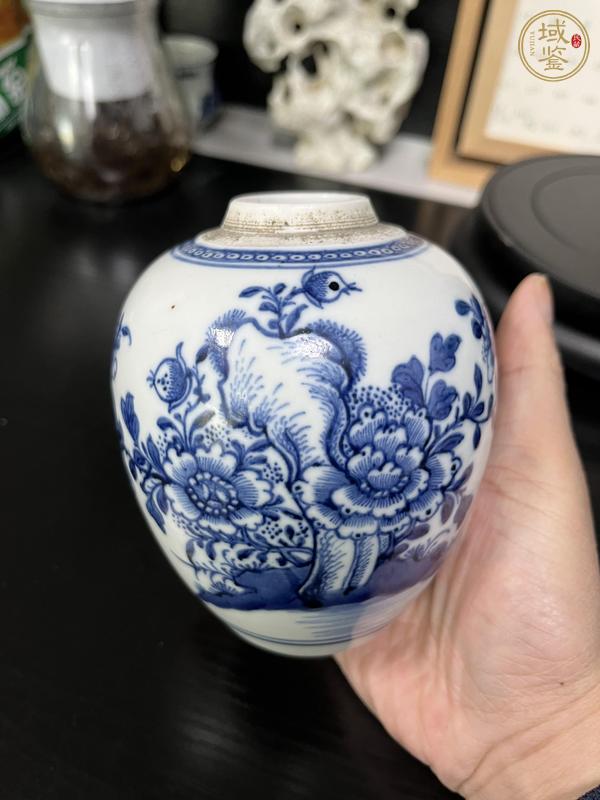 古玩陶瓷清代乾隆花蝶紋青花罐真品鑒賞圖