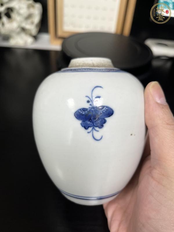 古玩陶瓷清代乾隆花蝶紋青花罐真品鑒賞圖