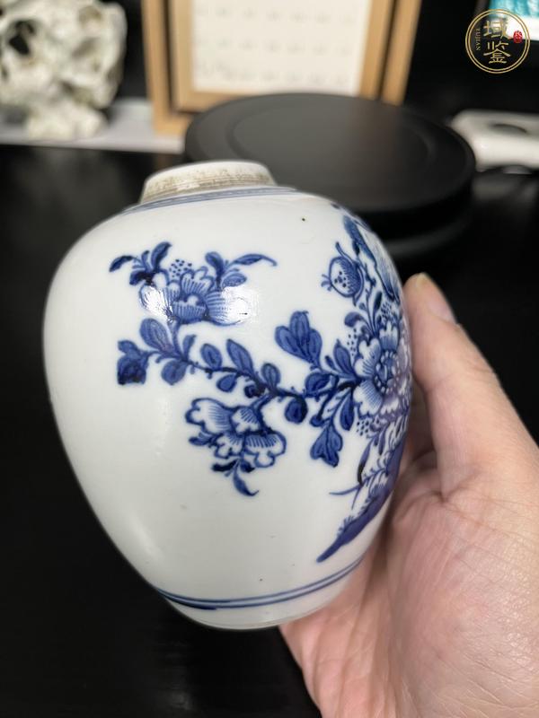 古玩陶瓷清代乾隆花蝶紋青花罐真品鑒賞圖