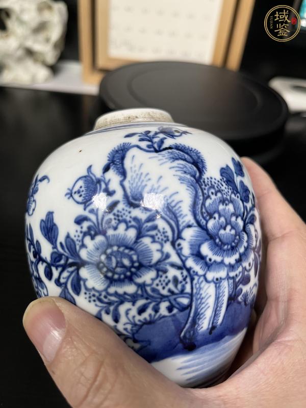 古玩陶瓷清代乾隆花蝶紋青花罐真品鑒賞圖