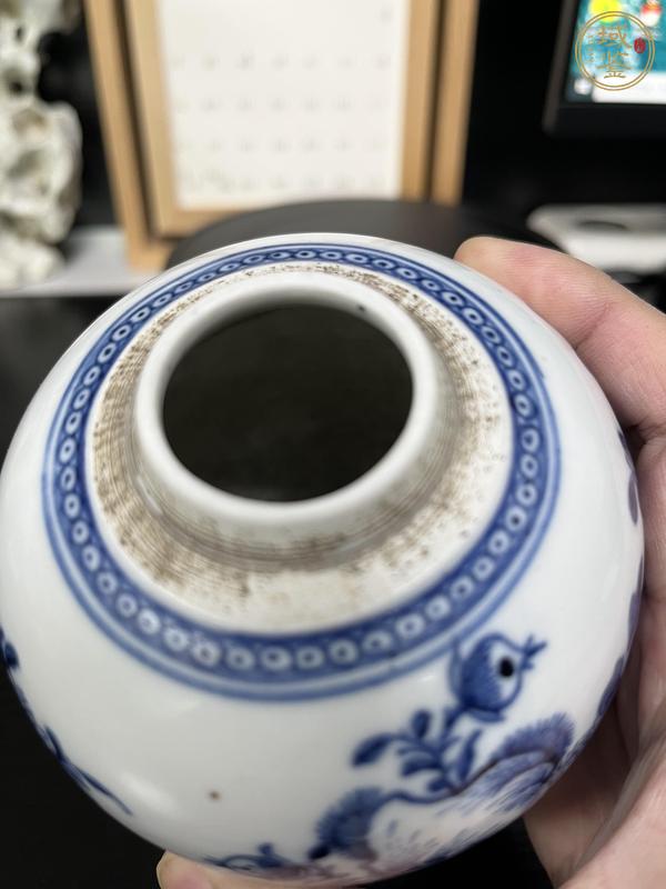 古玩陶瓷清代乾隆花蝶紋青花罐真品鑒賞圖