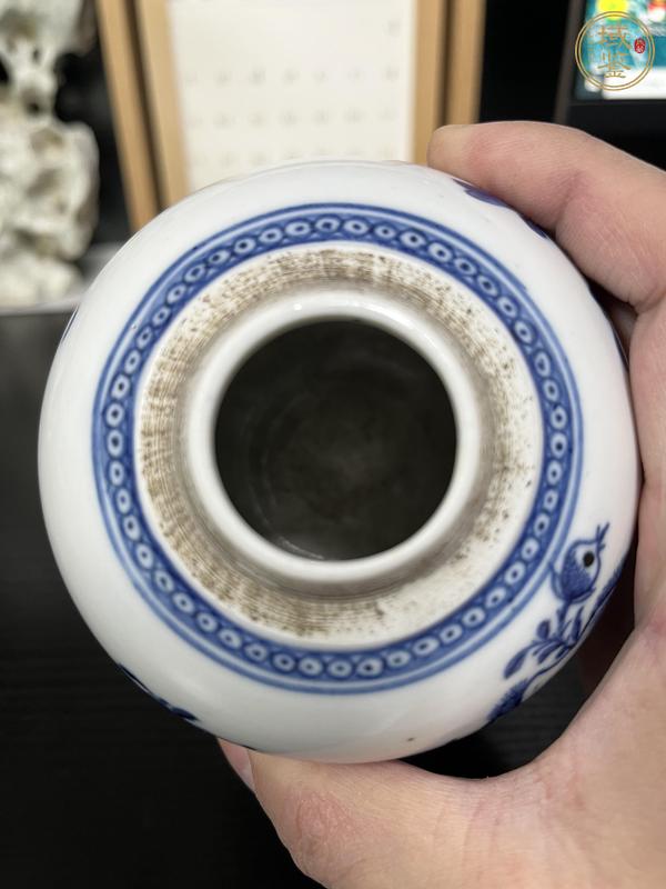 古玩陶瓷清代乾隆花蝶紋青花罐真品鑒賞圖