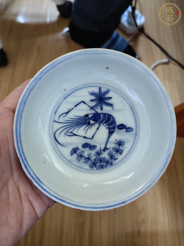 古玩陶瓷青花蝦藻紋盤真品鑒賞圖