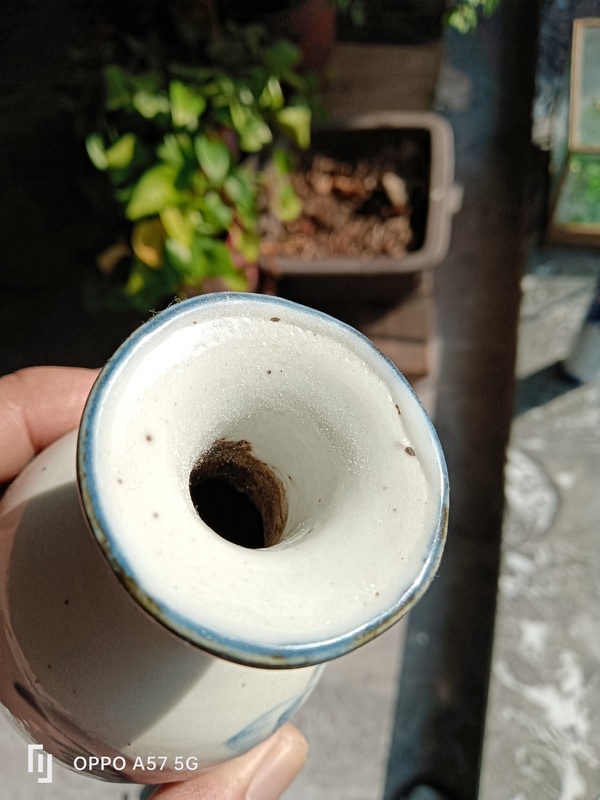 古玩陶瓷青花荷花紋瓶拍賣,當前價格1260元