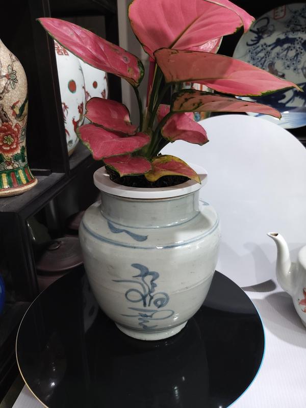 古玩陶瓷清代早期吉語紋青花罐拍賣,當前價格1280元