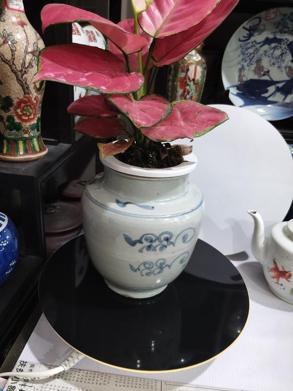 古玩陶瓷清代早期吉語紋青花罐拍賣,當前價格1280元