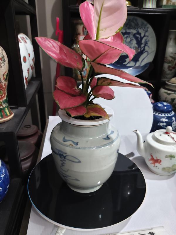 古玩陶瓷清代早期吉語紋青花罐拍賣,當前價格1280元