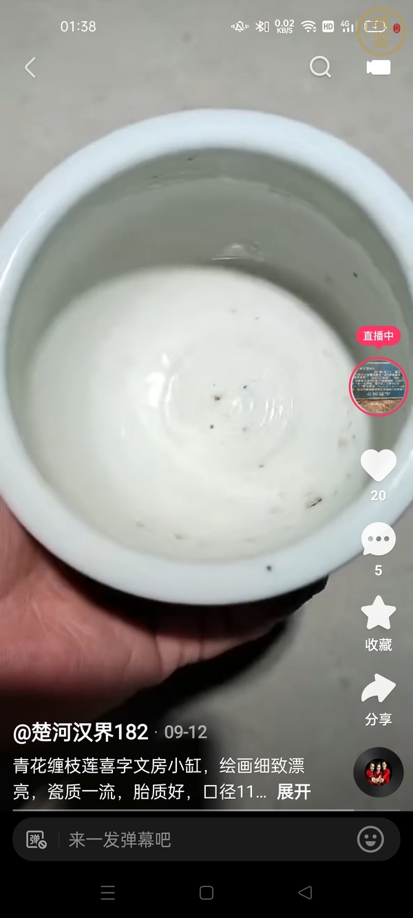 古玩陶瓷嘉道纏枝蓮小卷缸真品鑒賞圖