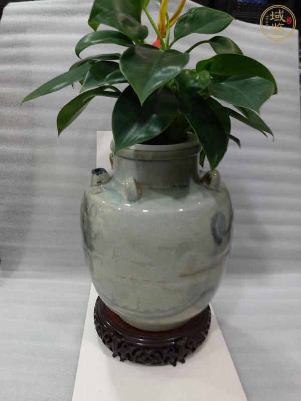 古玩陶瓷清代早期龙纹四系壶真品鉴赏图