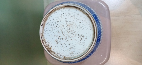 古玩陶瓷乾隆青花纏枝花卉紋粥罐拍賣,當前價格2600元
