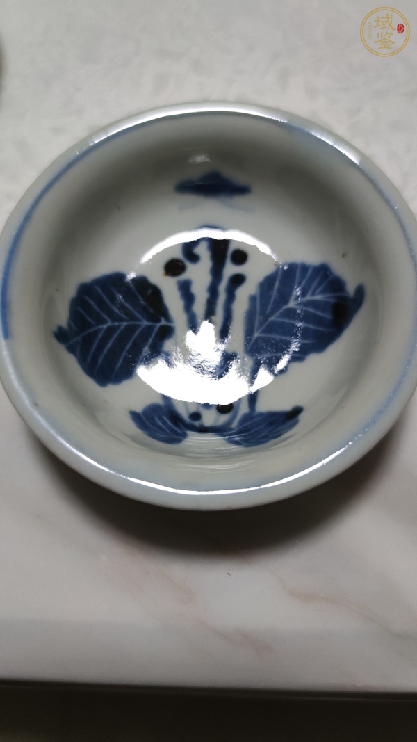 古玩陶瓷晚明萊菔紋青花盤真品鑒賞圖