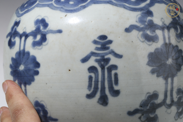 古玩陶瓷康熙·青花花間壽字紋罐真品鑒賞圖
