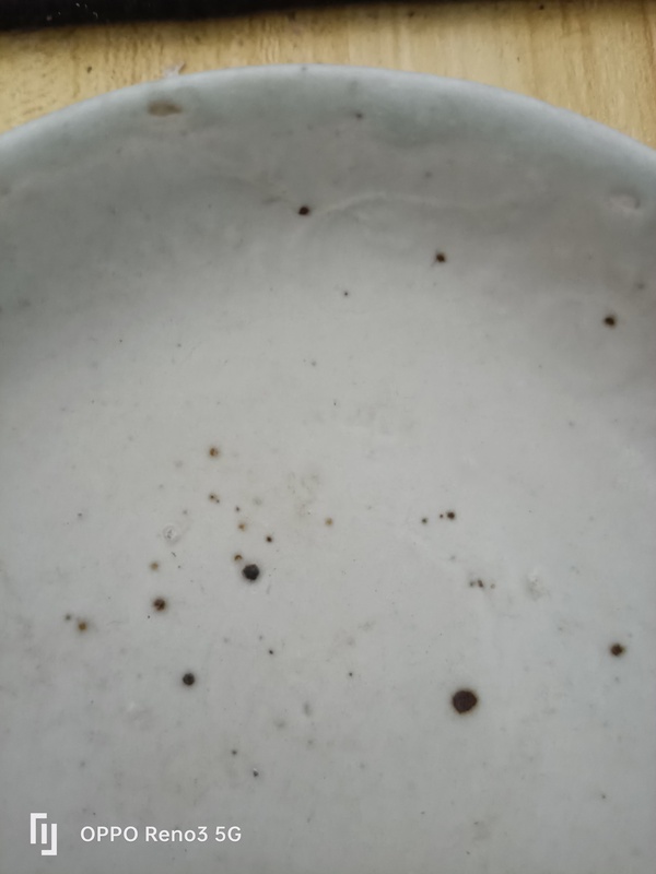 古玩陶瓷明?洪武白釉模印花卉紋盤拍賣,當(dāng)前價格2900元