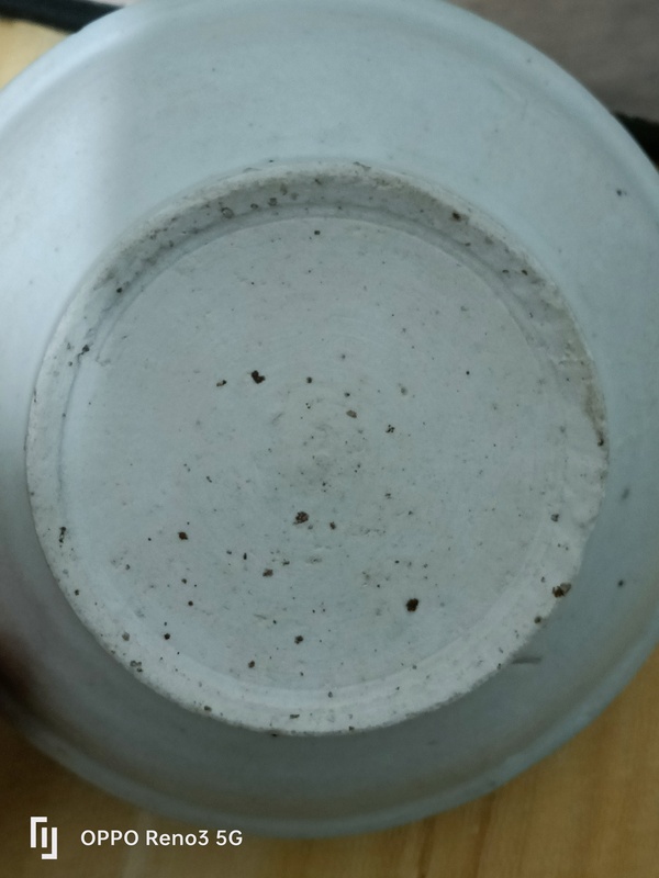 古玩陶瓷明?洪武白釉模印花卉紋盤拍賣,當(dāng)前價格2900元