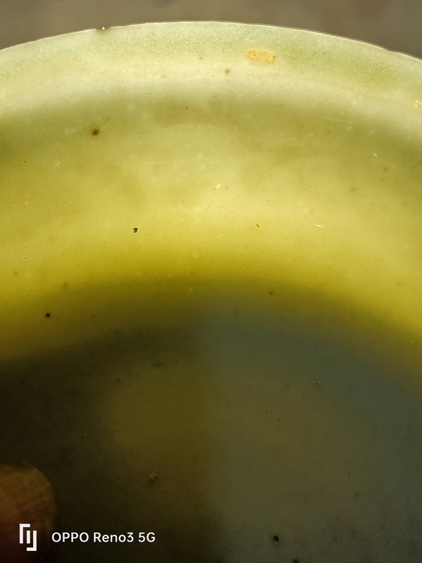 古玩陶瓷明?洪武白釉模印花卉紋盤拍賣,當(dāng)前價格2900元