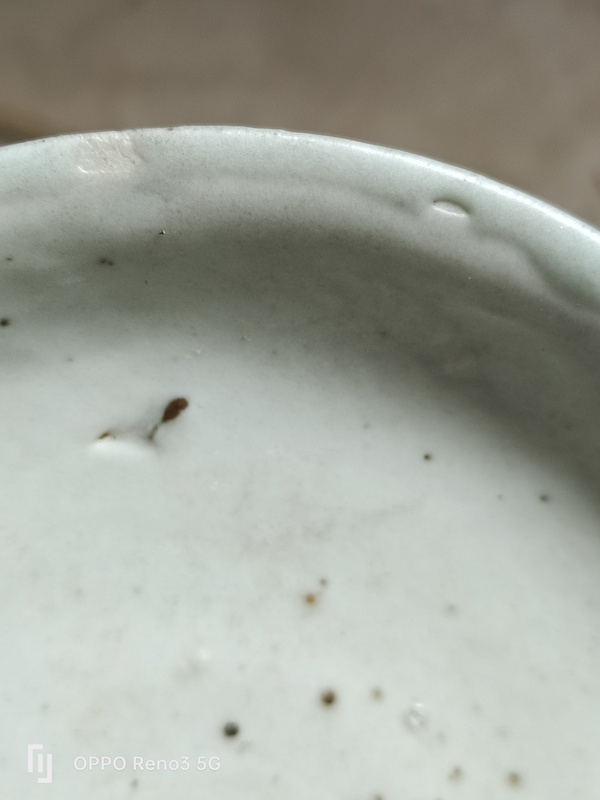 古玩陶瓷明?洪武白釉模印花卉紋盤拍賣,當(dāng)前價格2900元