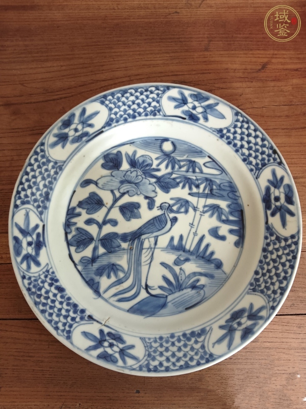 古玩明晚·青花鳳凰牡丹紋盤真品鑒賞圖